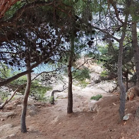 Zagalo Sveta Nedelja (Hvar)